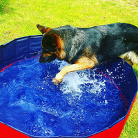Thumbnail for PORTABLE PAW POOL™