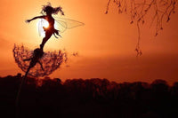 Thumbnail for Ideal garden-The metal fairy I cherish