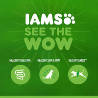 Thumbnail for Iams Puppy Dry Dog Food, Chicken, All Breed Sizes