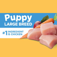 Thumbnail for Iams Puppy Dry Dog Food, Chicken, All Breed Sizes