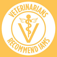 Thumbnail for Iams Puppy Dry Dog Food, Chicken, All Breed Sizes