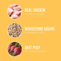 Thumbnail for Iams Puppy Dry Dog Food, Chicken, All Breed Sizes