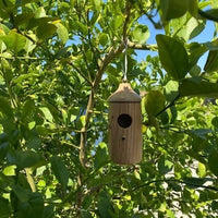 Thumbnail for Last Day Sale 50% OFF💕Wooden Hummingbird House-Gift for Nature Lovers