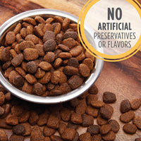 Thumbnail for Iams Puppy Dry Dog Food, Chicken, All Breed Sizes