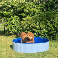 Thumbnail for PORTABLE PAW POOL™