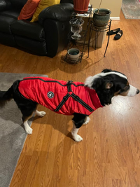 Thumbnail for 2022 Newest Dog Waterproof Winter Jacket with Built-in Harness
