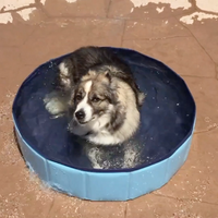 Thumbnail for PORTABLE PAW POOL™