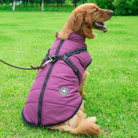 Thumbnail for 2022 Newest Dog Waterproof Winter Jacket with Built-in Harness